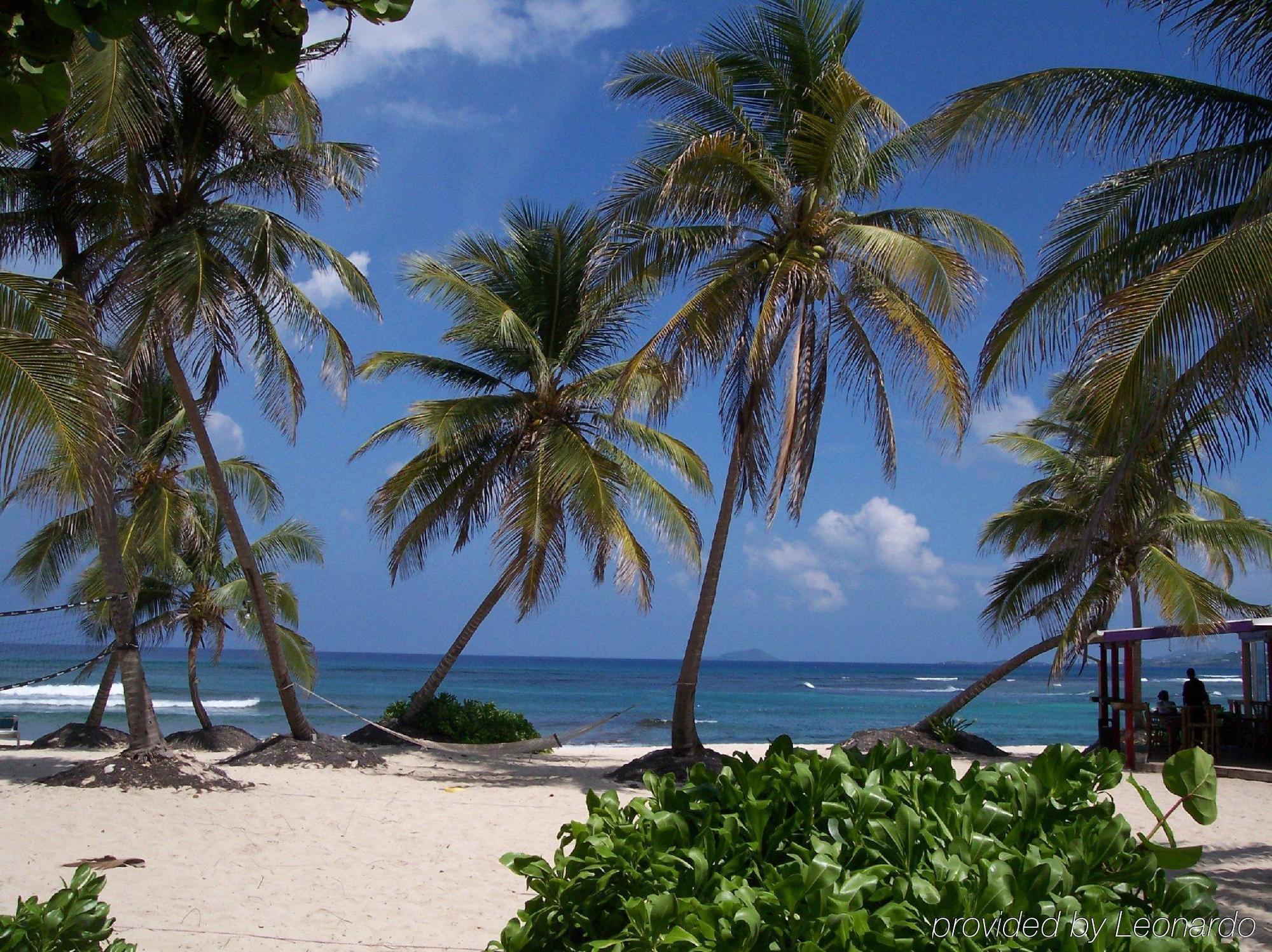 Hibiscus Beach Resort Christianted Bagian luar foto