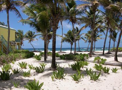 Hibiscus Beach Resort Christianted Bagian luar foto